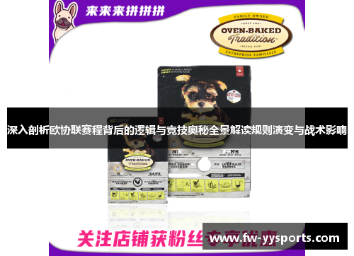 深入剖析欧协联赛程背后的逻辑与竞技奥秘全景解读规则演变与战术影响