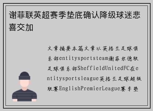 谢菲联英超赛季垫底确认降级球迷悲喜交加